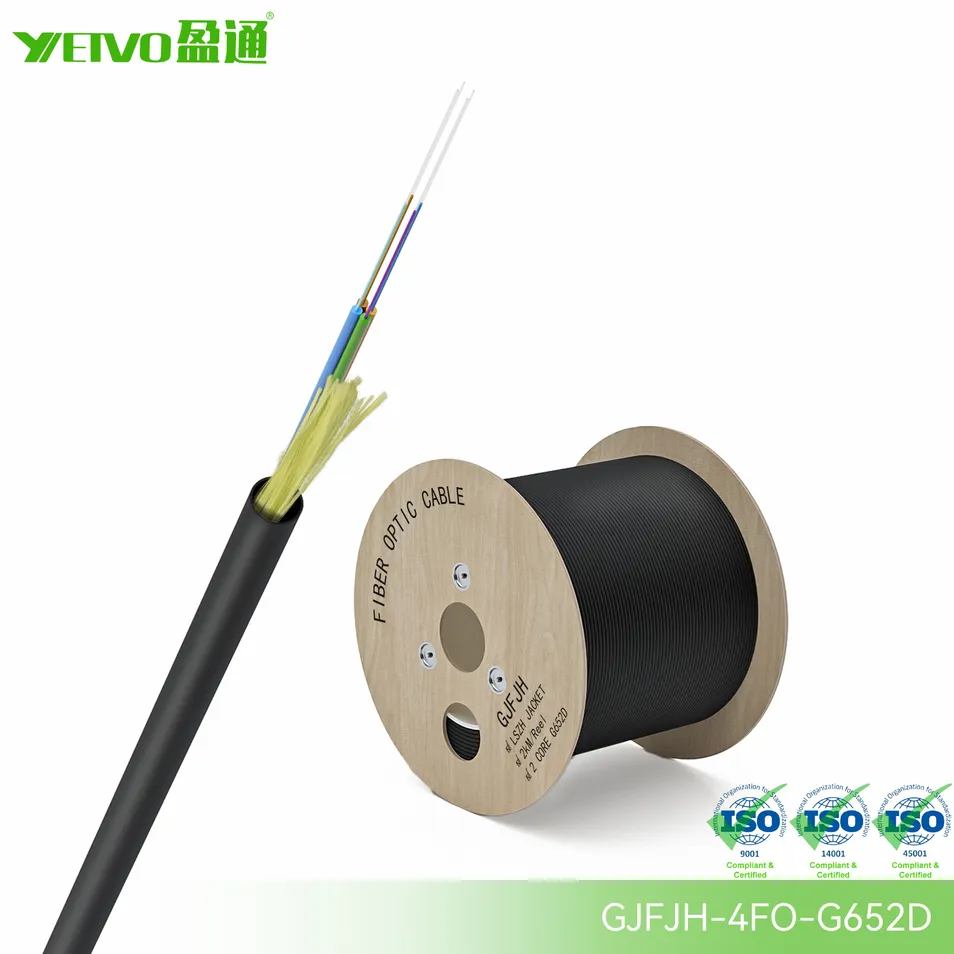 Fiber Optic Cable Detail 1