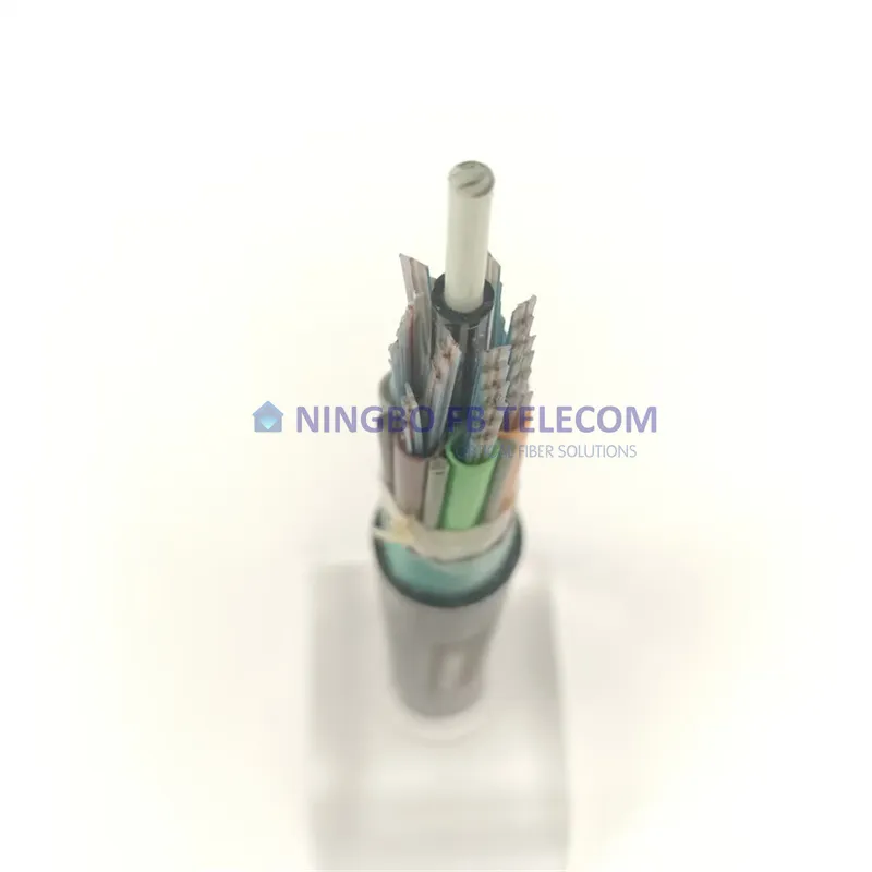 Fiber Cable Detail 6