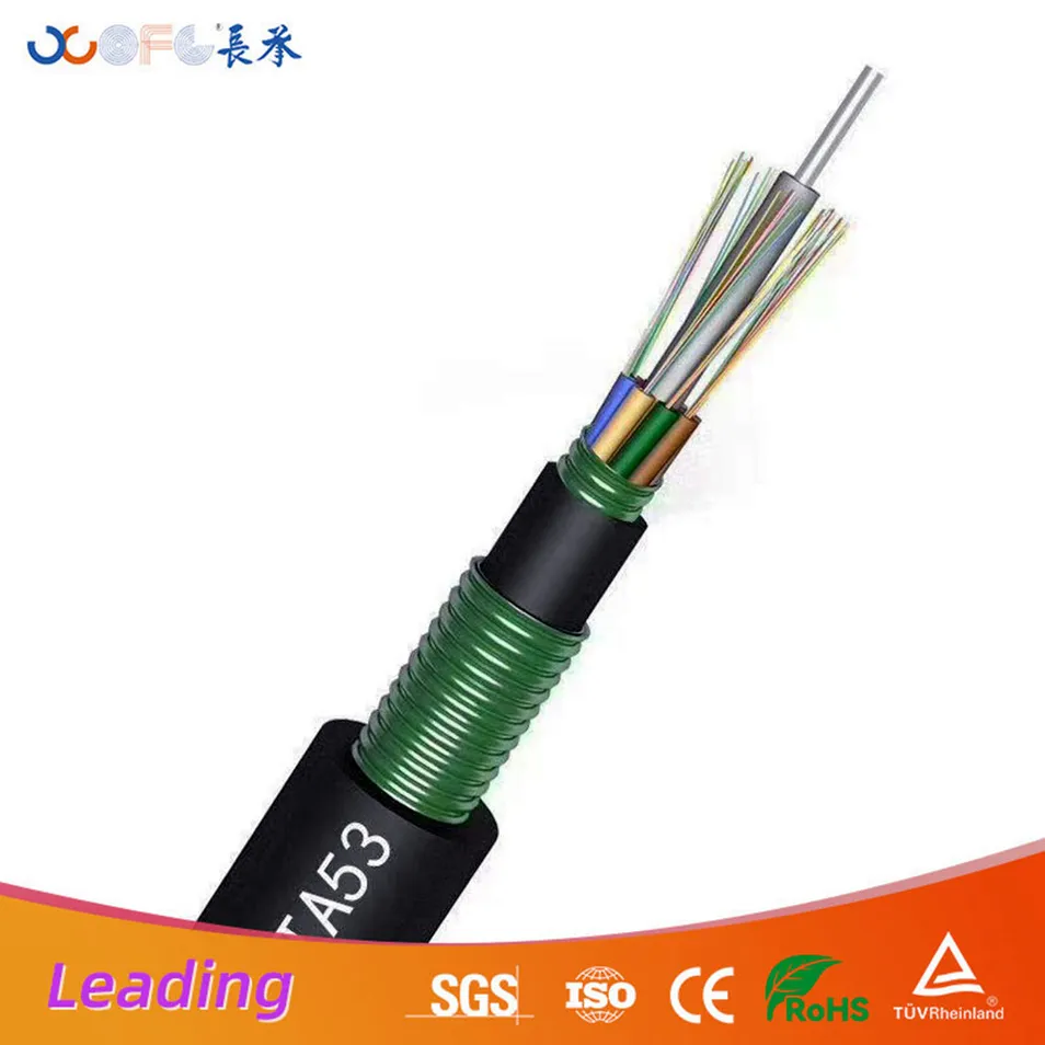 Stable Optical Transmission