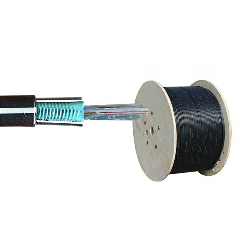 Central Loose Tube Light Armored Ribbon Cable Gydxtw Optical Fiber Cable