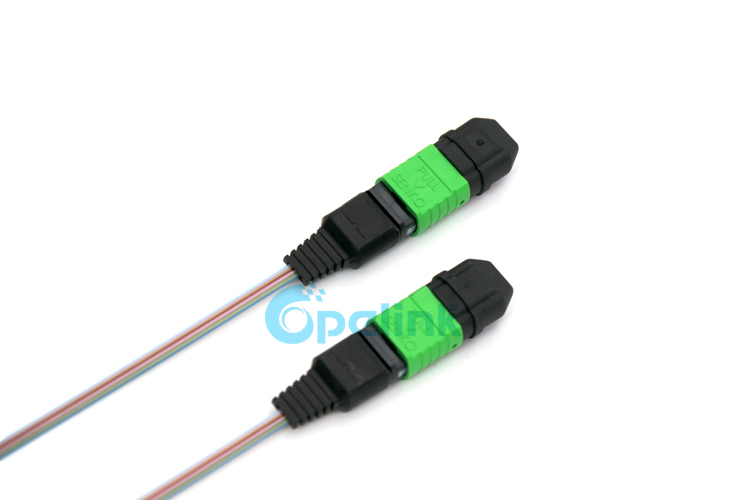 MPO/APC-MPO/APC Ribbon Fiber Optic Patch Cable