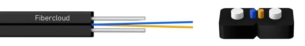 Parameter 2