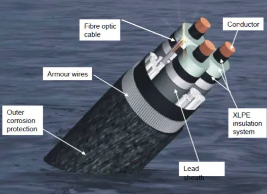 Submarine Cable Detailed View