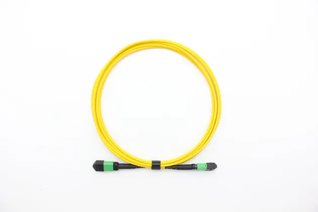 MPO Trunk Cable