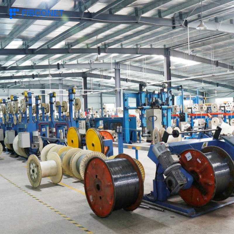 Buried/ADSS/Asu/Undersea/Air Blown/Drop Indoor/Outdoor 50/125 2/12/24/48/288 Core 12f Armored Fiber Optic Cable