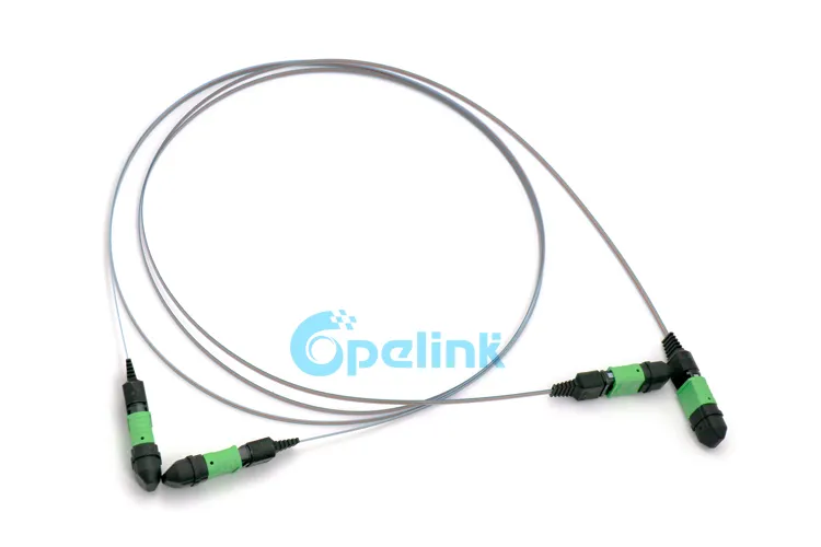 MPO Ribbon Cable 3