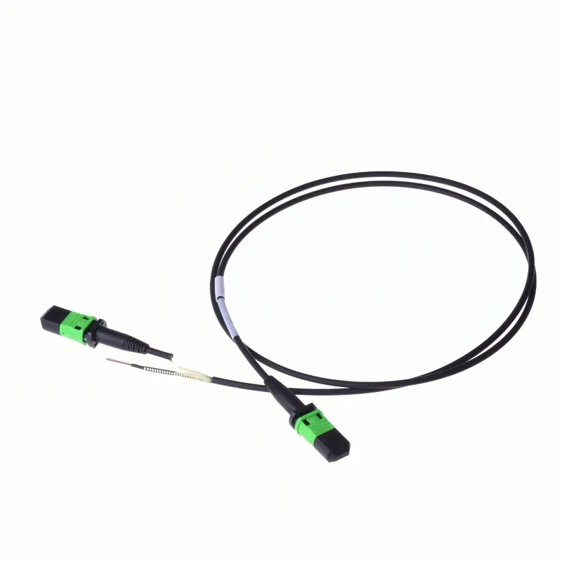 MPO Patchcord Detail 2