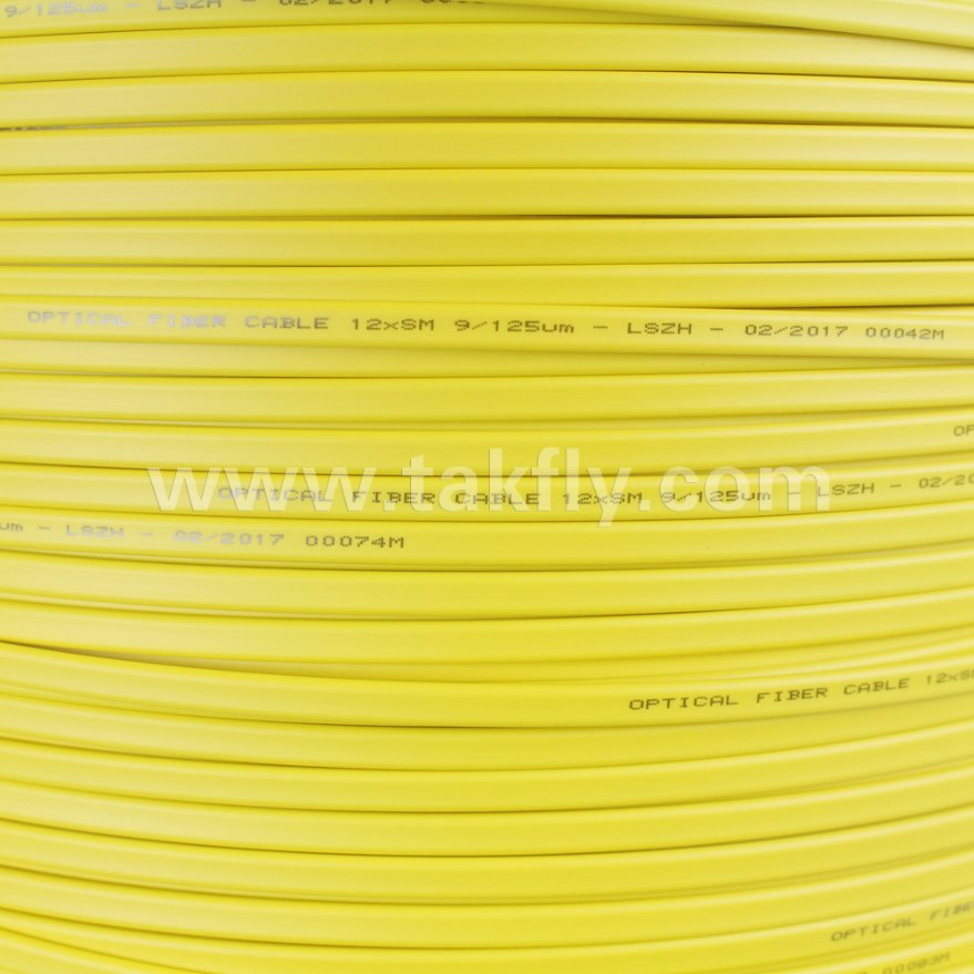 2/4/6/8/12 LSZH Flat Gjfdkbv Ribbon Indoor Fiber Optical Cable