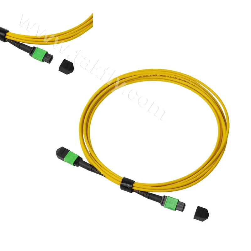 8 Cores 12cores 24 Cores MPO MTP Sm Om3 Om4 Om5 Data Center Cabling Fiber Optic MPO Fiber Cable