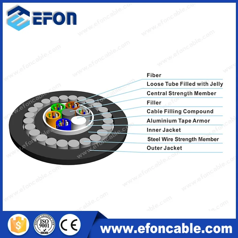 Product Detail 1