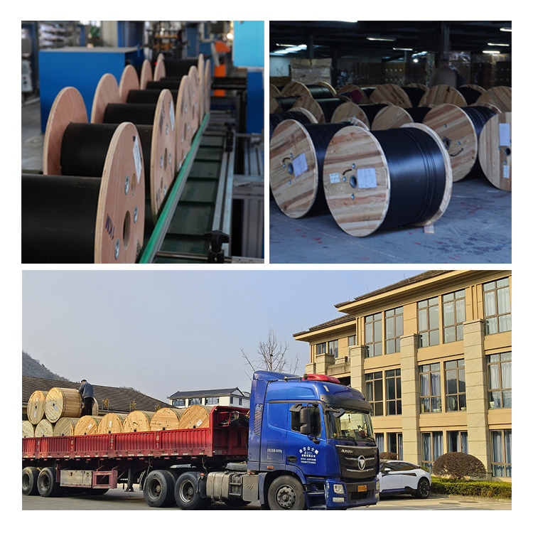 Manufacturer of 4 6 8 12 24 48 96 Core Steel Wires Self-Supporting Aerial Optical Drop FTTH Fiber Optic Cable GYTC8S