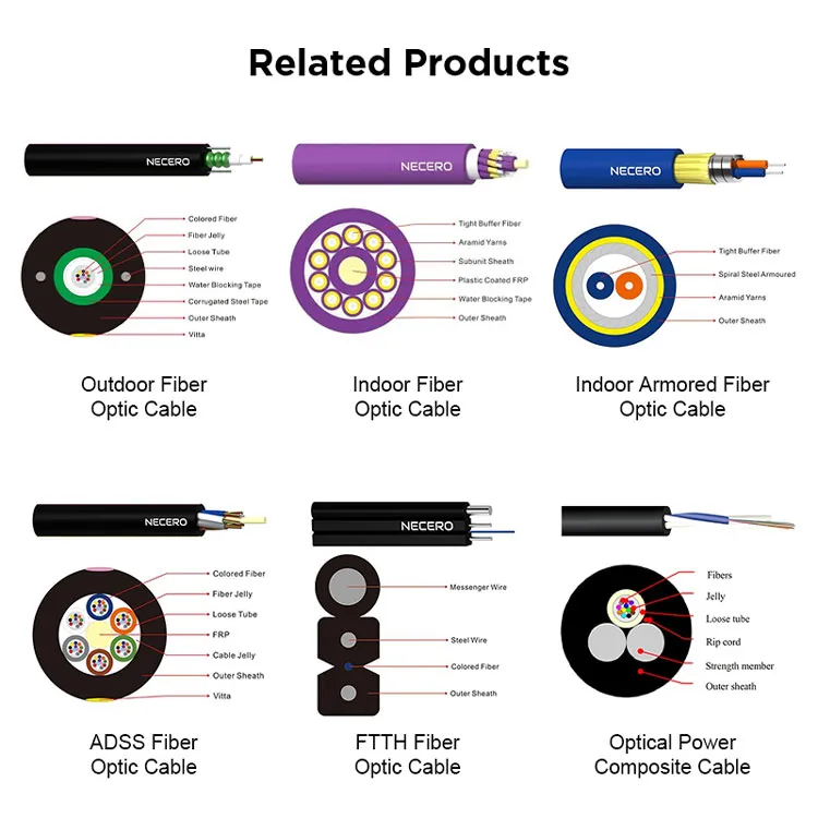 Related Product