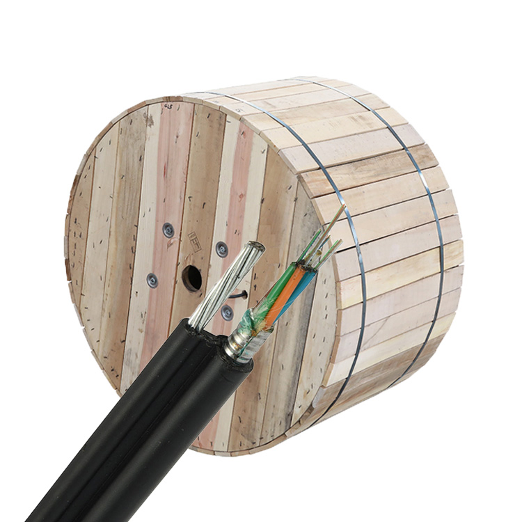 Manufacturer of 4 6 8 12 24 48 96 Core Steel Wires Self-Supporting Aerial Optical Drop FTTH Fiber Optic Cable GYTC8S