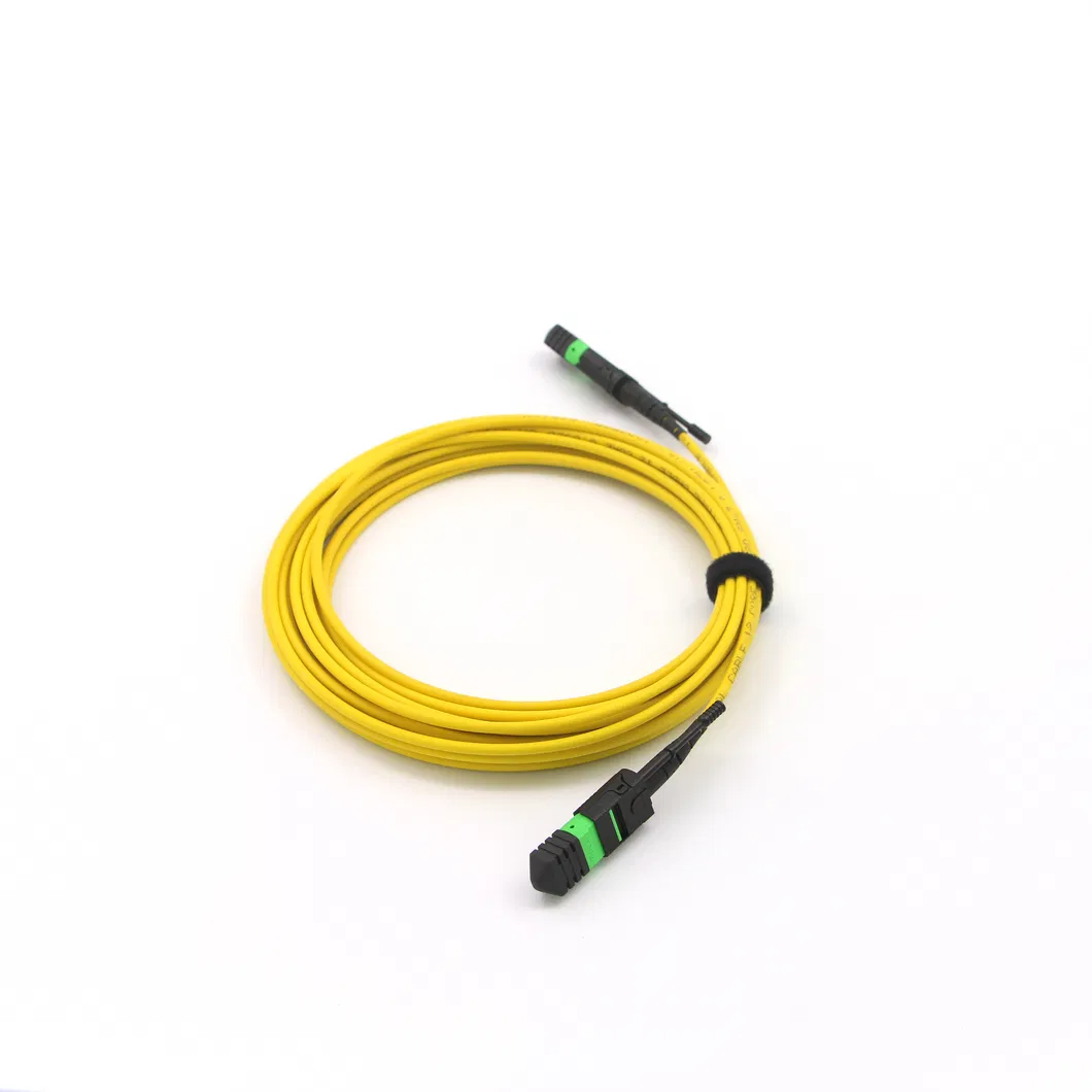 MPO Patch Cord Structure