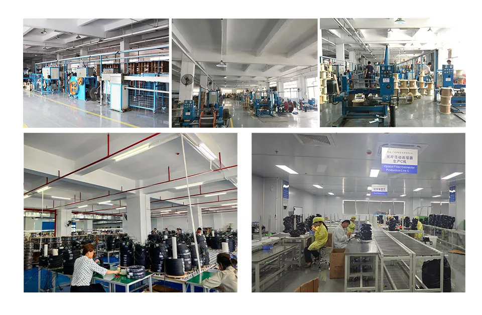 Our Team and Workshop