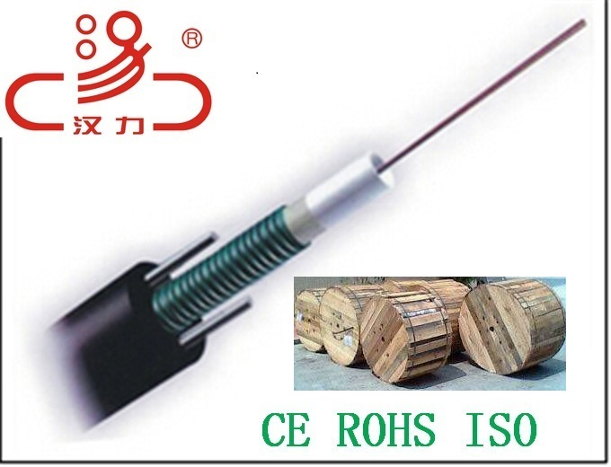 Direct Bury Underground 24 Core GYXTW Optic Fiber Cable