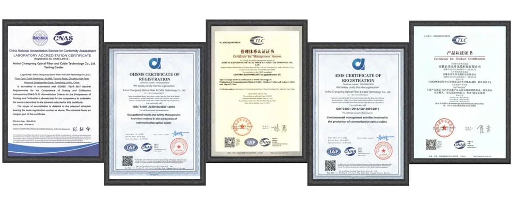 Cert 1