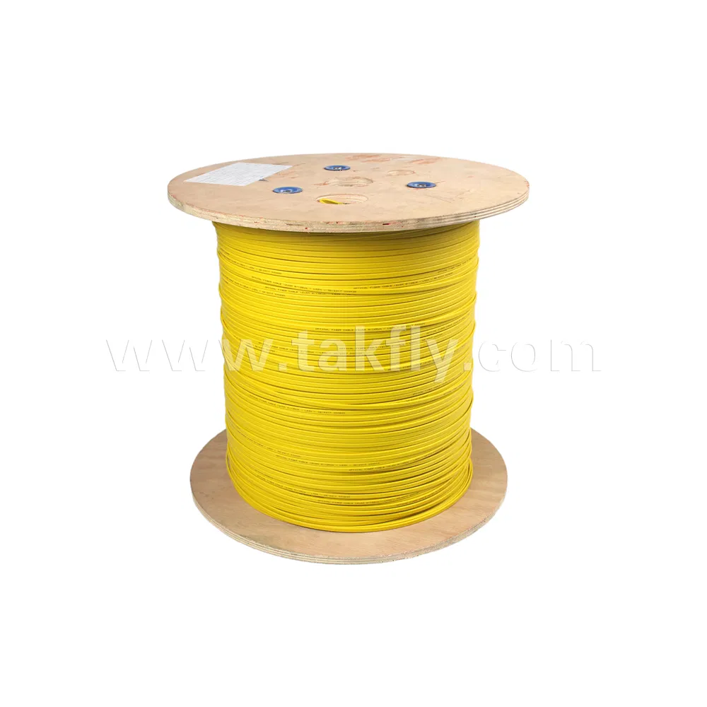 2/4/6/8/12 LSZH Flat Gjfdkbv Ribbon Indoor Fiber Optical Cable