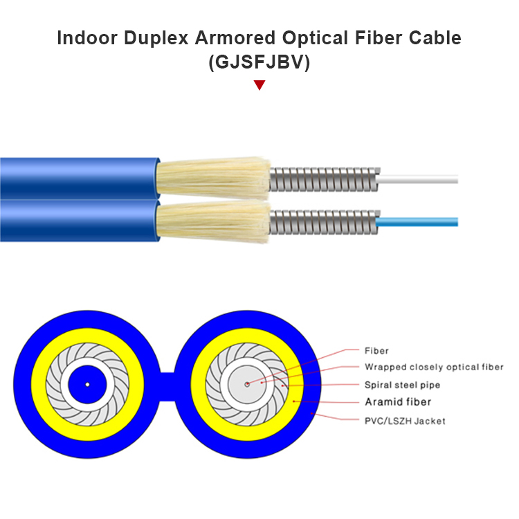 Custom Indoor Simplex Armored Indoor Multi Core Fiber Gjsfjbv Fiber Optic Cable