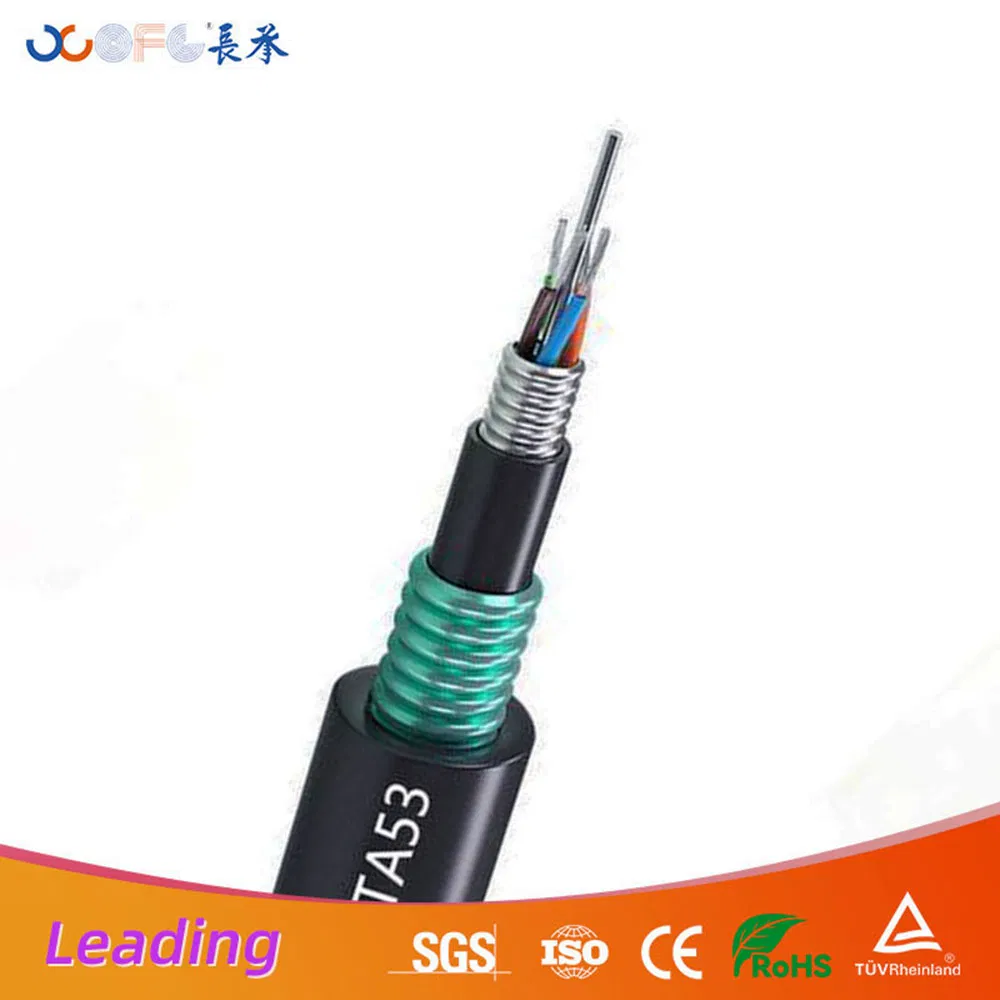 High-Performance GYTA53 Armored Fiber Optic Cable for Easy Installation