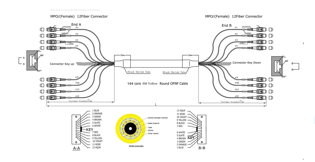 Fiber Optical Patch Cord