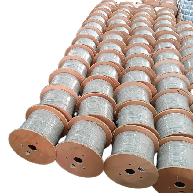 Indoor Fiber Optic Cable View