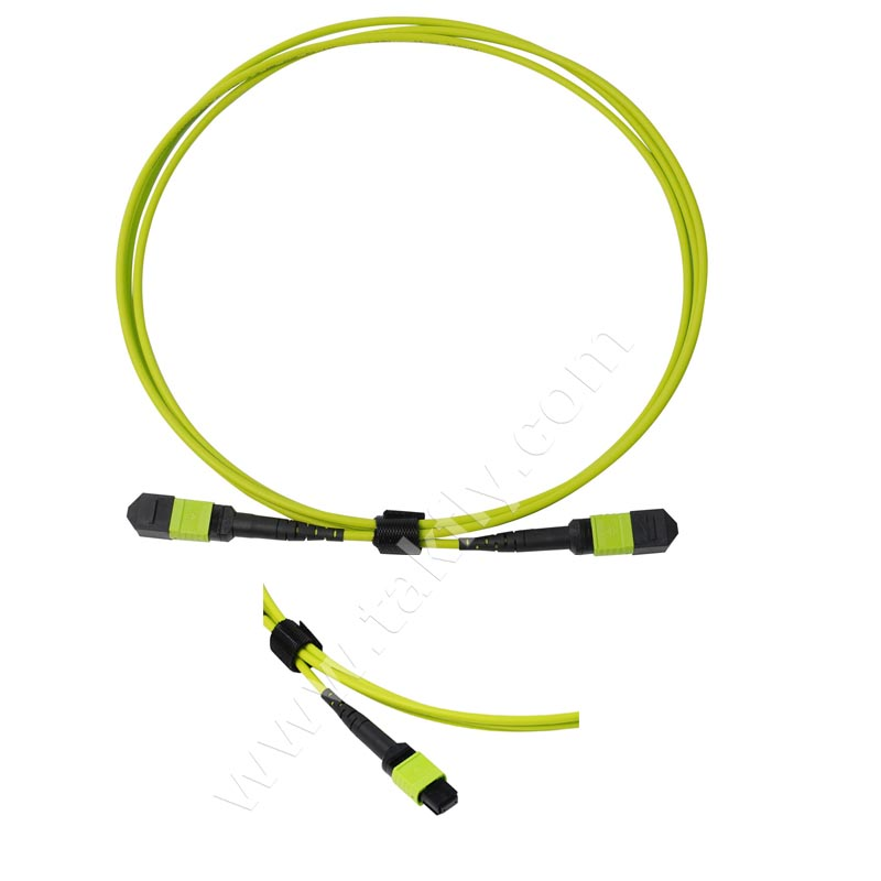 8 Cores 12cores 24 Cores MPO MTP Sm Om3 Om4 Om5 Data Center Cabling Fiber Optic MPO Fiber Cable