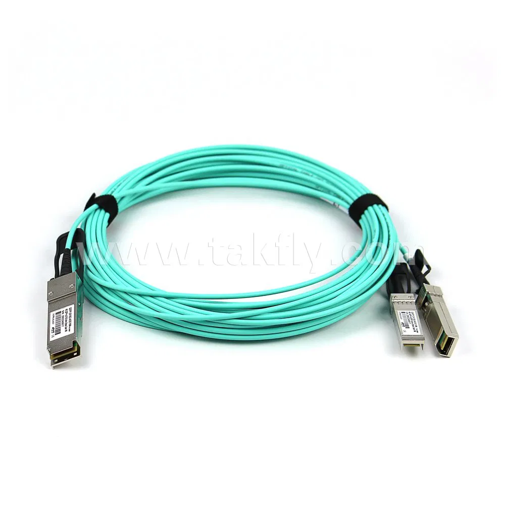 Active Optical Cable 1