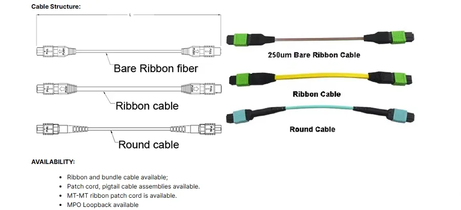 MPO MTP Trunk Cable