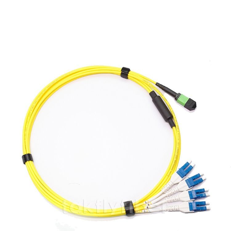 MPO/MTP High Stability Sc/LC Fanout Breakout Cable Fiber Optic Patchcord
