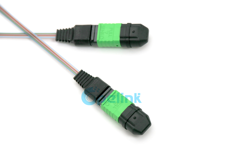 MPO/APC-MPO/APC Ribbon Fiber Optic Patch Cable