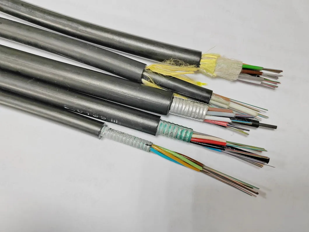 Fiber Optic Cable Detail 1