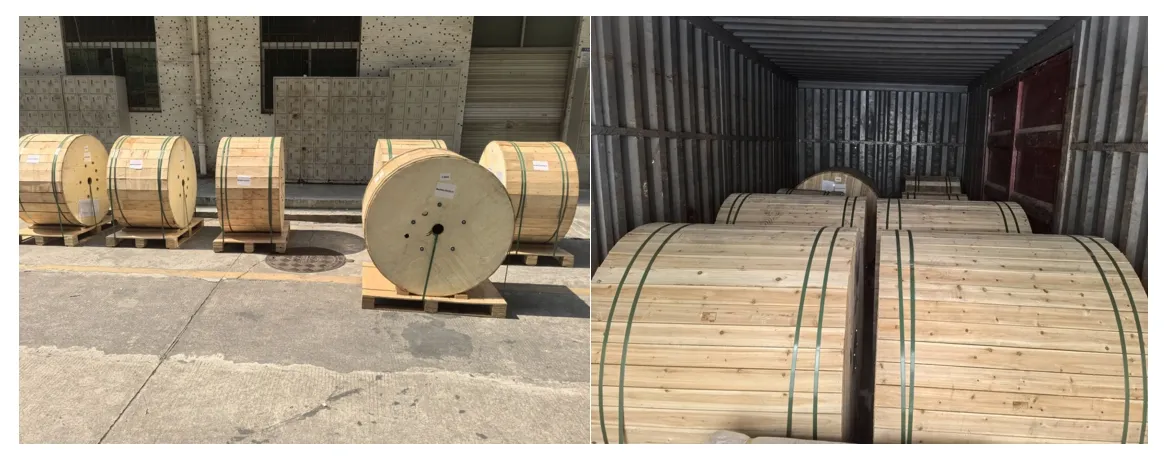 Shipping Package 1