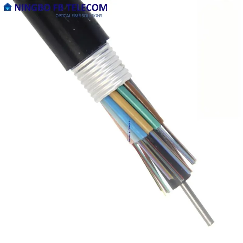 Fiber Cable Detail