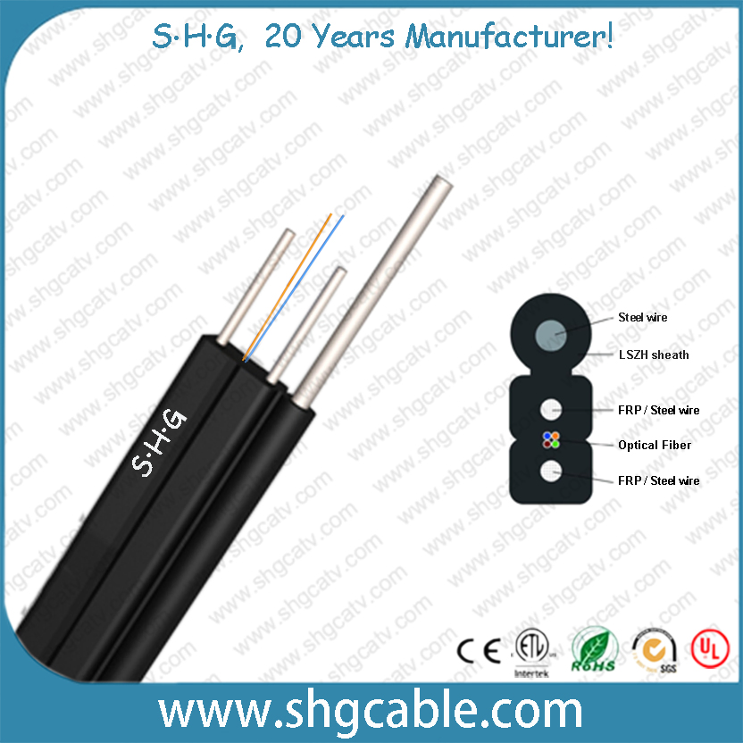 Factory Price LSZH FRP/Steel Optical 1/2/4 Core Flat FTTH Indoor/Outdoor Drop Fiber Optic Cable