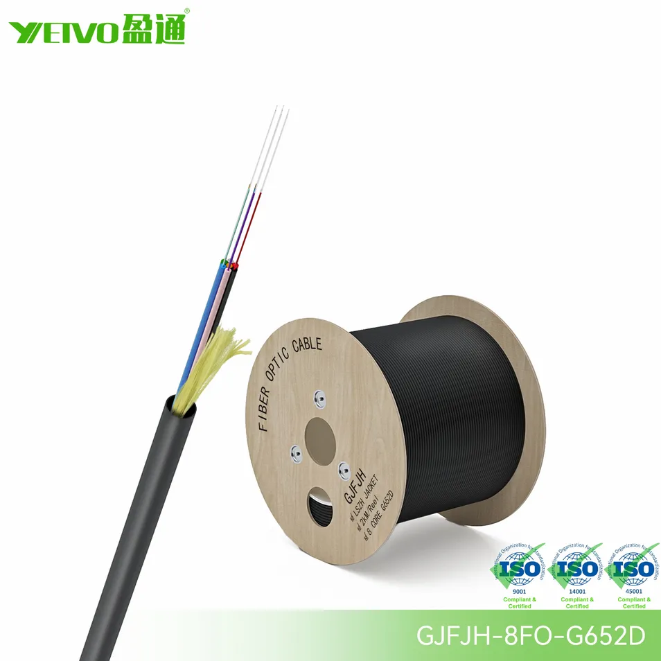 Fiber Optic Cable View 1