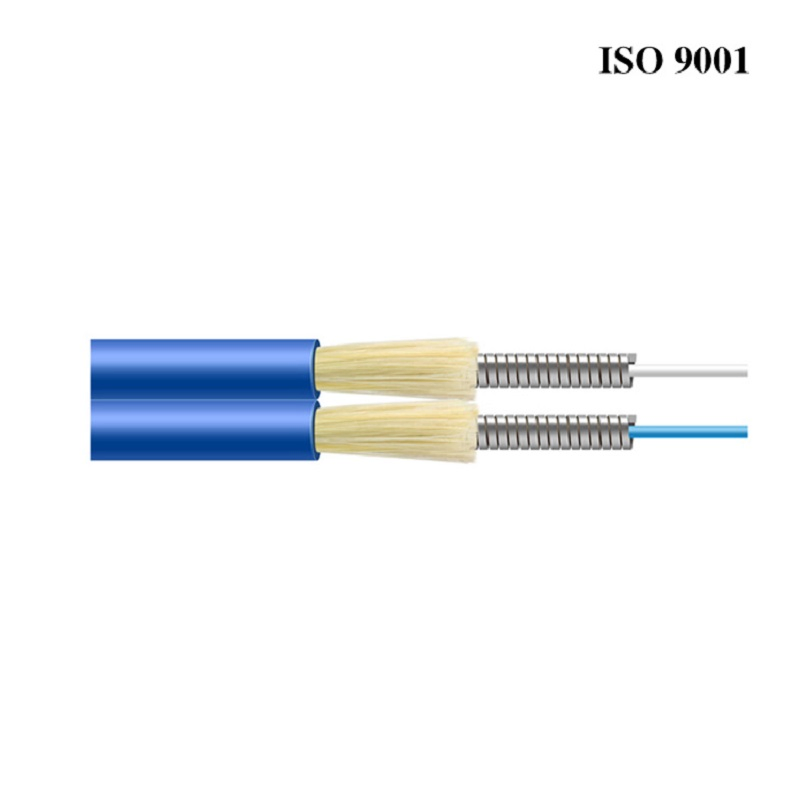 Custom Indoor Simplex Armored Indoor Multi Core Fiber Gjsfjbv Fiber Optic Cable