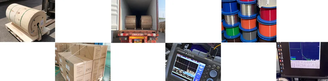 Shipping