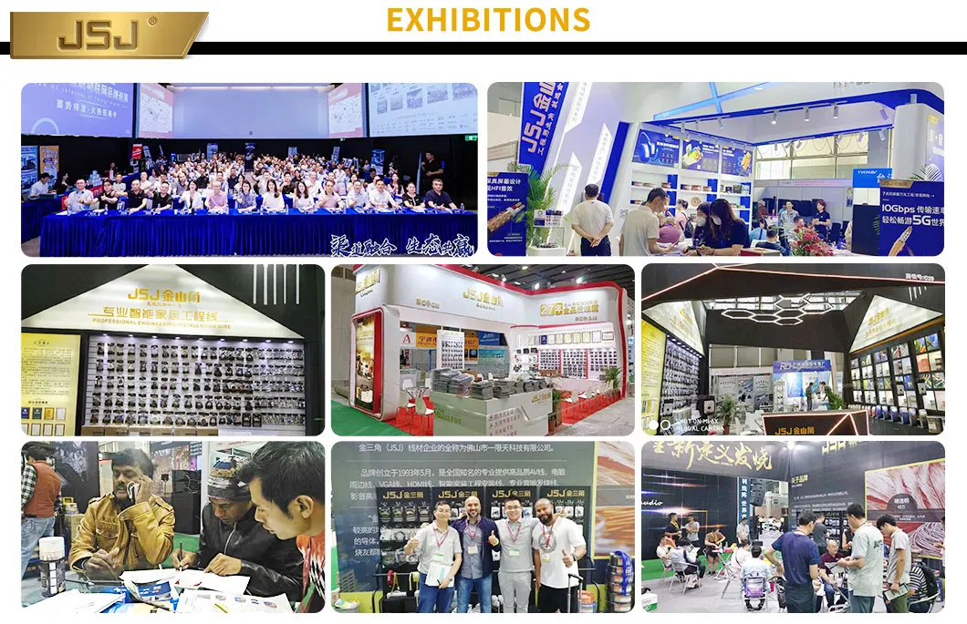Exhibitions