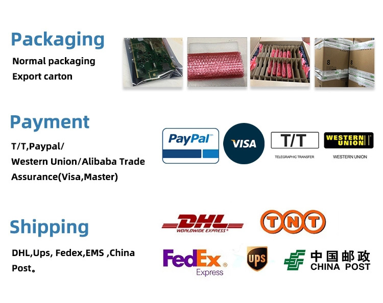 Packing and Shipping Process