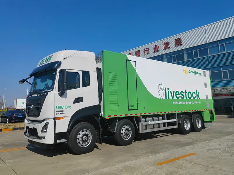 GoldBees Livestock (Pig) Transport Truck Structure