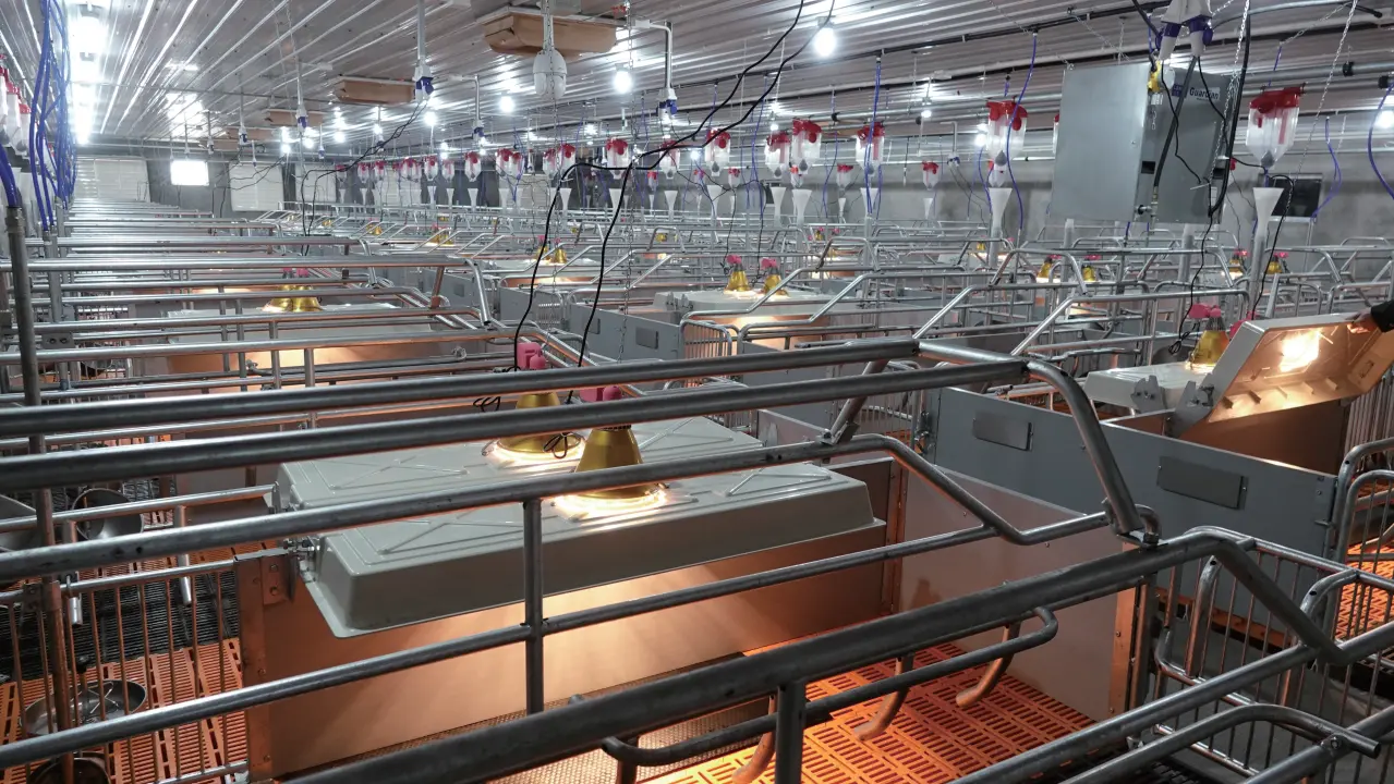 Livestock Farming Equipment