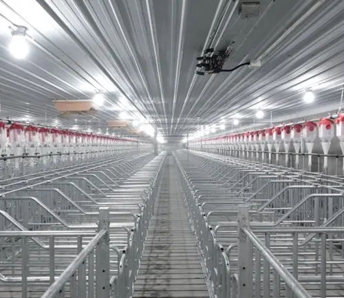 Best China Suppliers of Intelligent Poultry and Livestock Farming Equipment & Feed Mill Factory Solutions Factory, Company