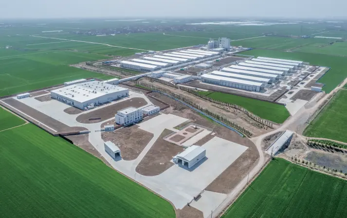 3 million layer full industry chain EPC project in Luohe, Henan