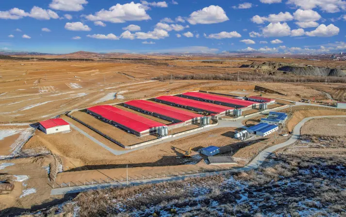 12,000 head fattening pig farm in Fuxin, Liaoning