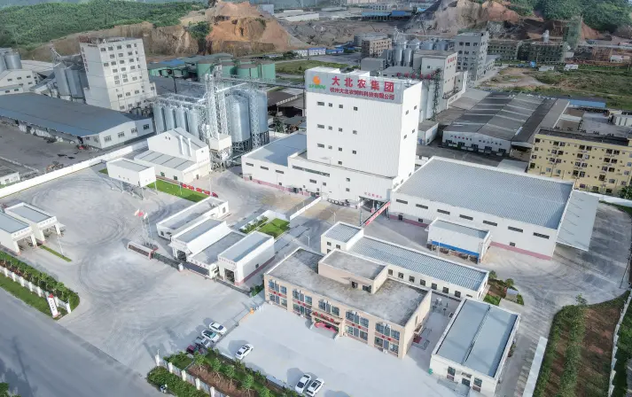 DBN Group project in Qinzhou, Guangxi
