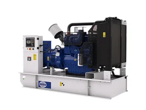 China FG Wilson Generator set Industrial-Grade Power Guarantee P300-5