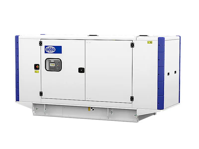 China Wilson Small Type Reliable Backup Power Generator P55-3 Supplier, Exporter