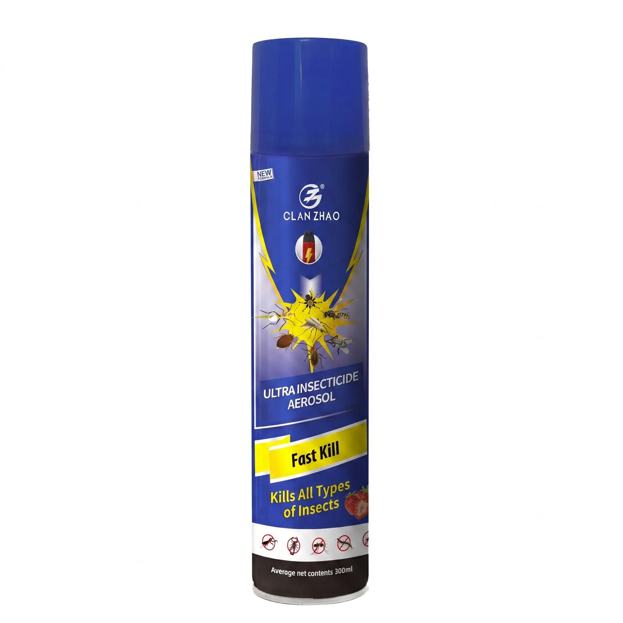 Wholesale Professional-grade Insecticidal aerosol with quick knockdown effect Factory, Factories