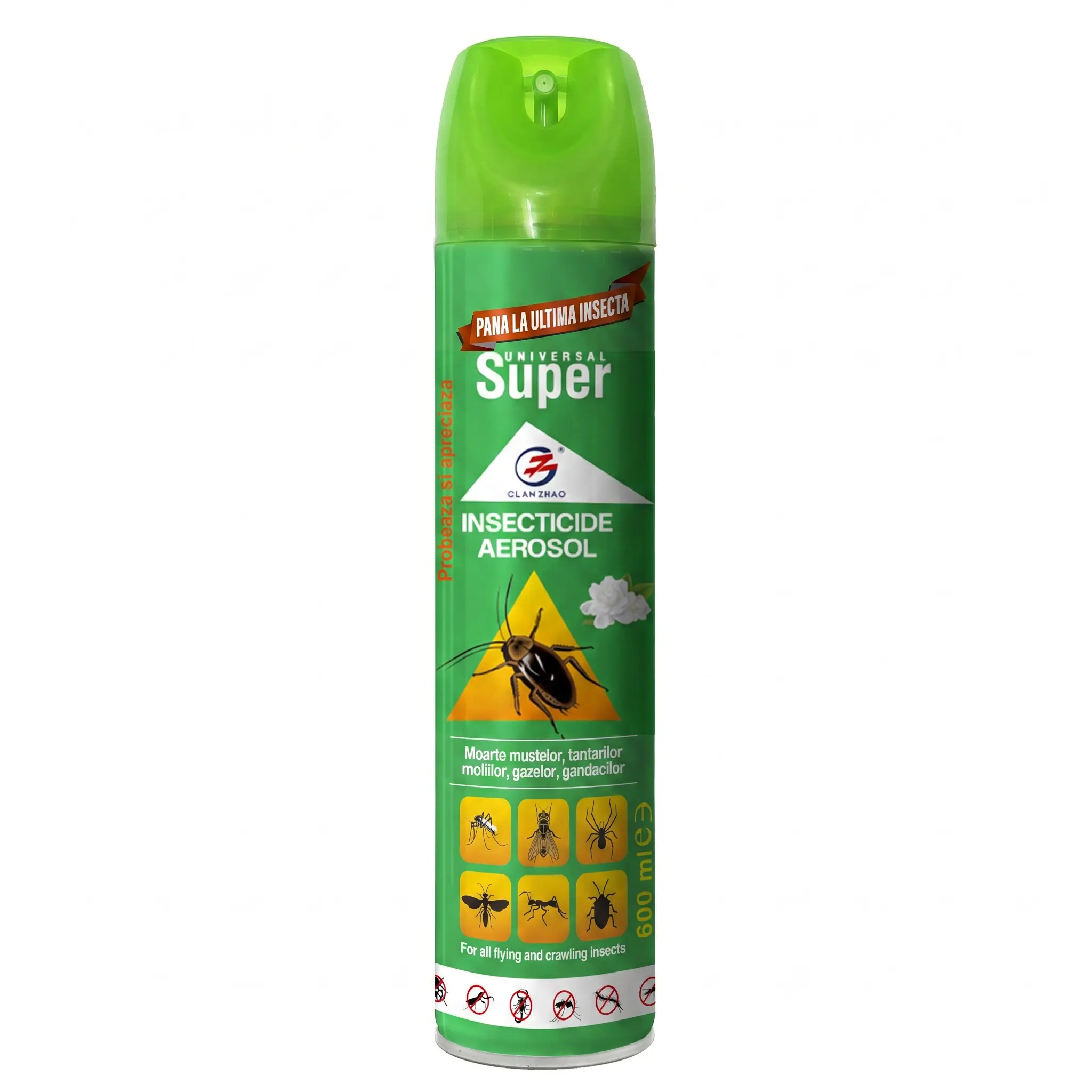 Wholesale Professional-grade Insecticidal aerosol with quick knockdown effect Factory, Factories